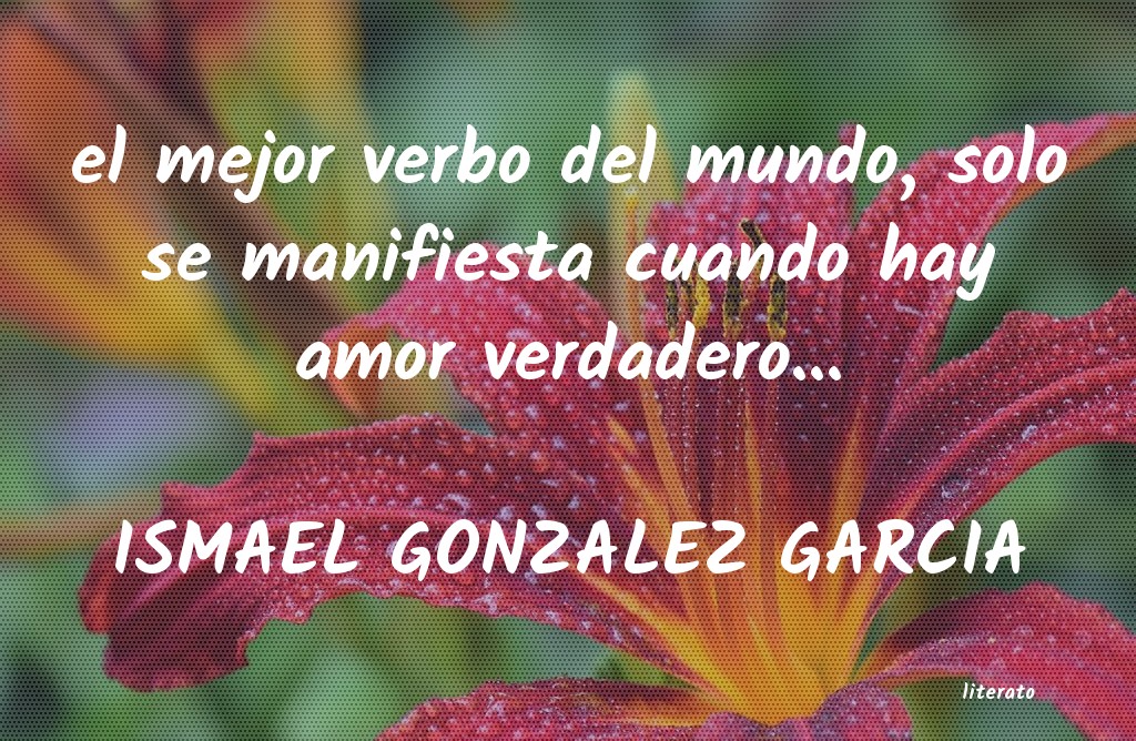 Frases de ISMAEL GONZALEZ GARCIA