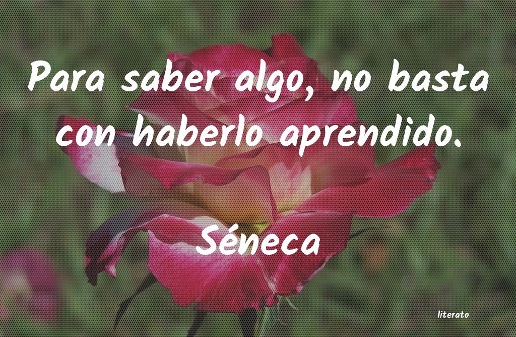 frases de SÃ©neca