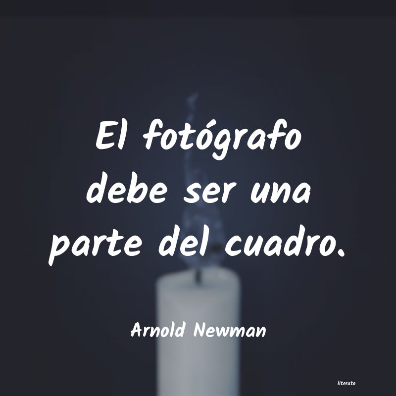 Frases de Arnold Newman