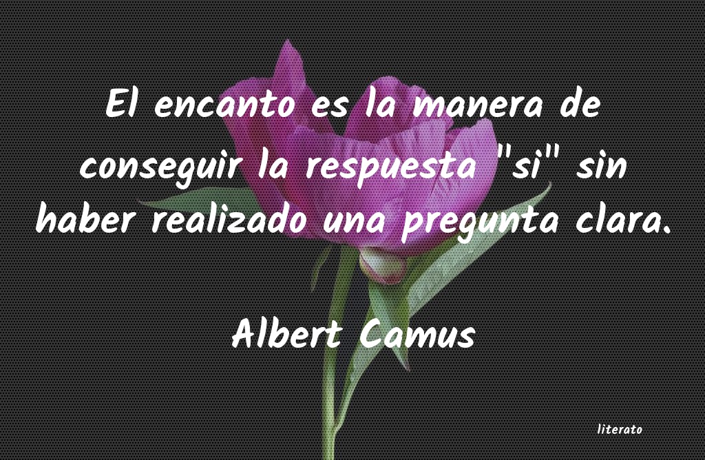 Frases de Albert Camus