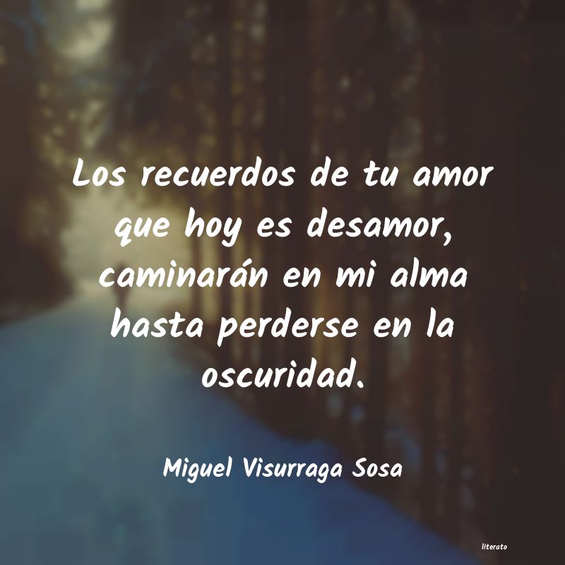 Frases de Miguel Visurraga Sosa