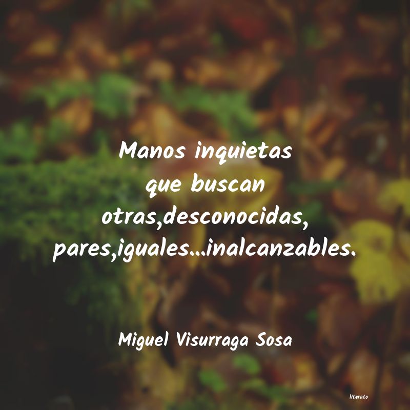 Frases de Miguel Visurraga Sosa