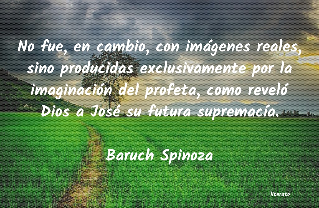 Frases de Baruch Spinoza