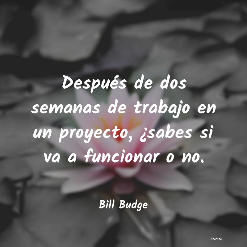 Frases de Bill Budge