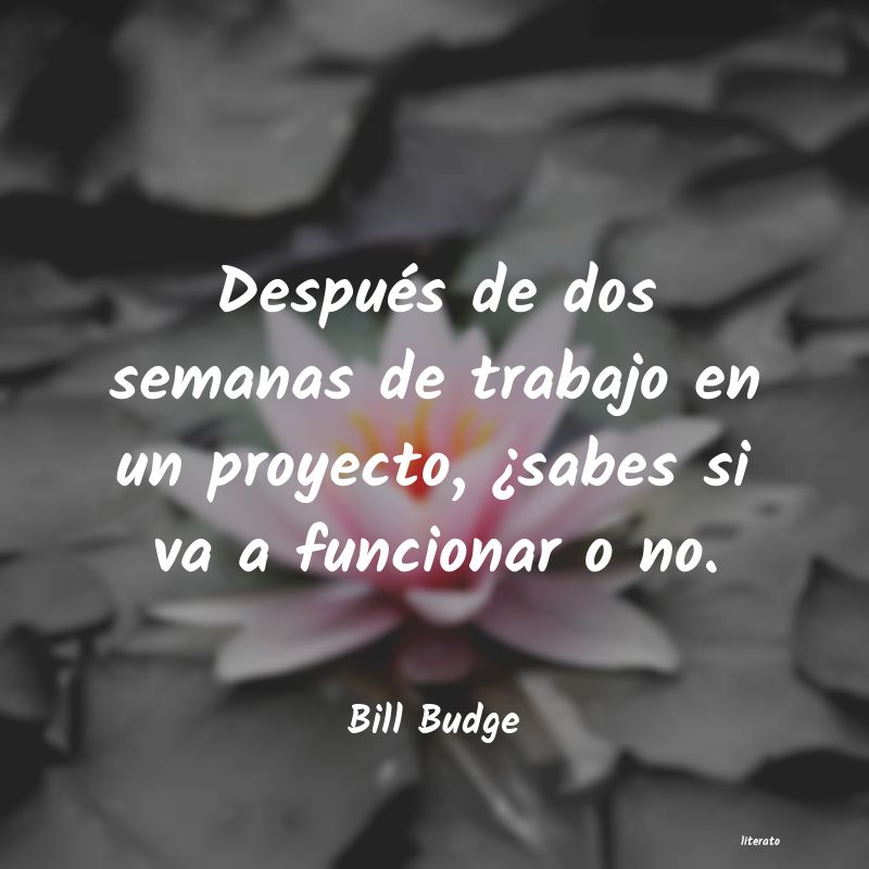 frases de Bill Budge