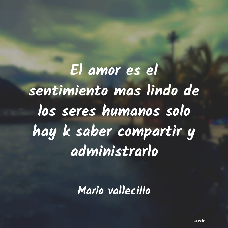 frases de Mario vallecillo