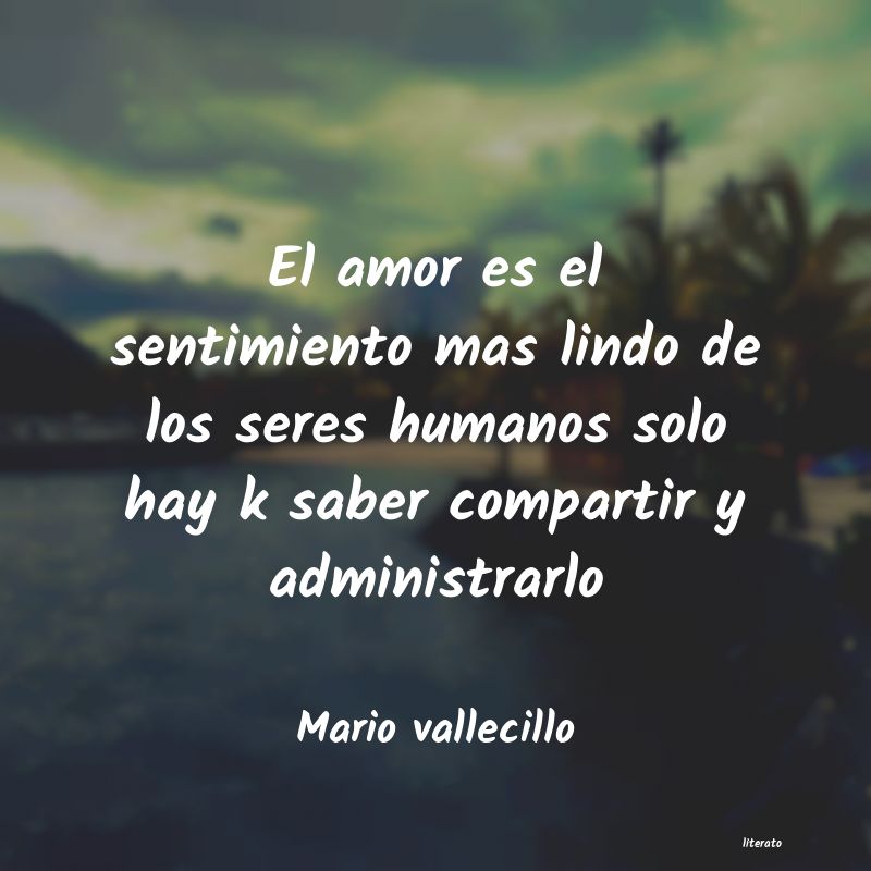 Frases de Mario vallecillo