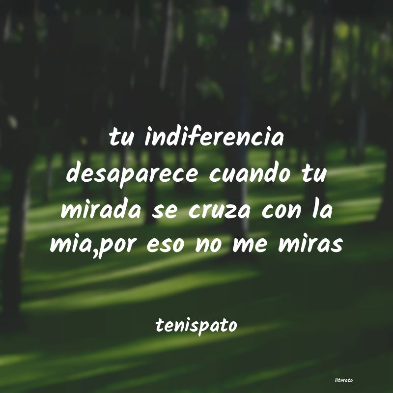 Frases de tenispato