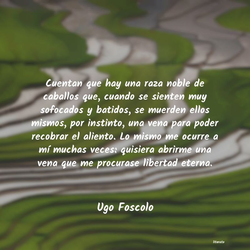 <ol class='breadcrumb' itemscope itemtype='http://schema.org/BreadcrumbList'>
<li itemprop='itemListElement'><a href='/autores/'>Autores</a></li>
<li itemprop='itemListElement'><a href='/autor/ugo_foscolo/'>Ugo Foscolo</a></li>
</ol>