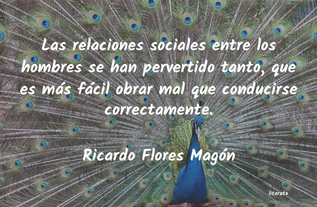 frases de Ricardo Flores Magón