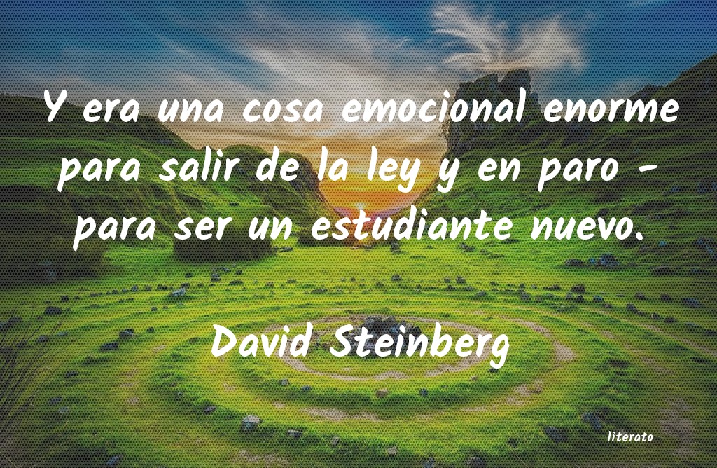 Frases de David Steinberg