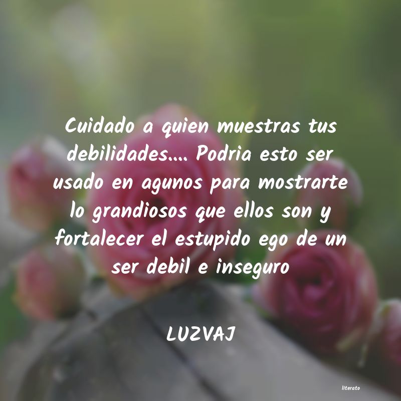 Frases de LUZVAJ