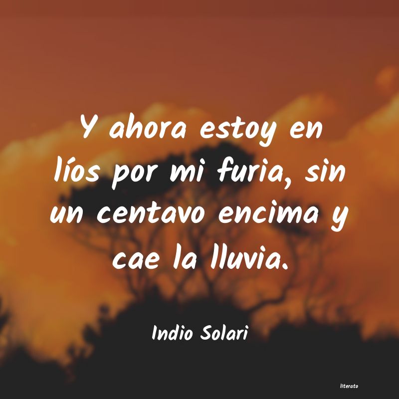 Frases de Indio Solari