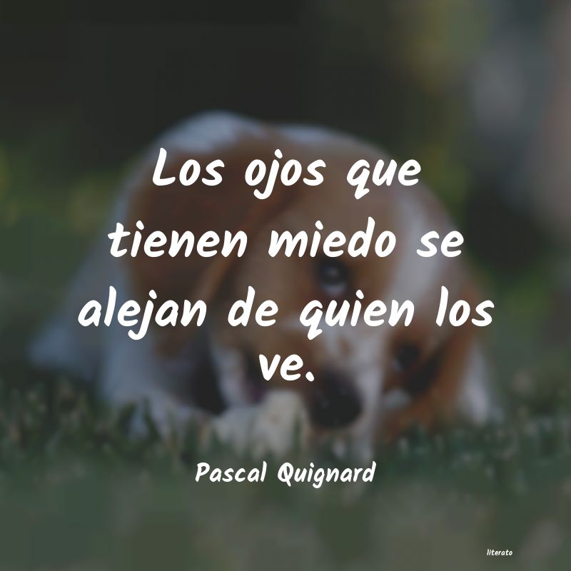 Frases de Pascal Quignard