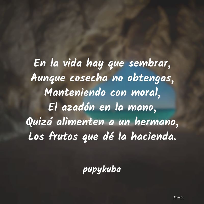 Frases de pupykuba