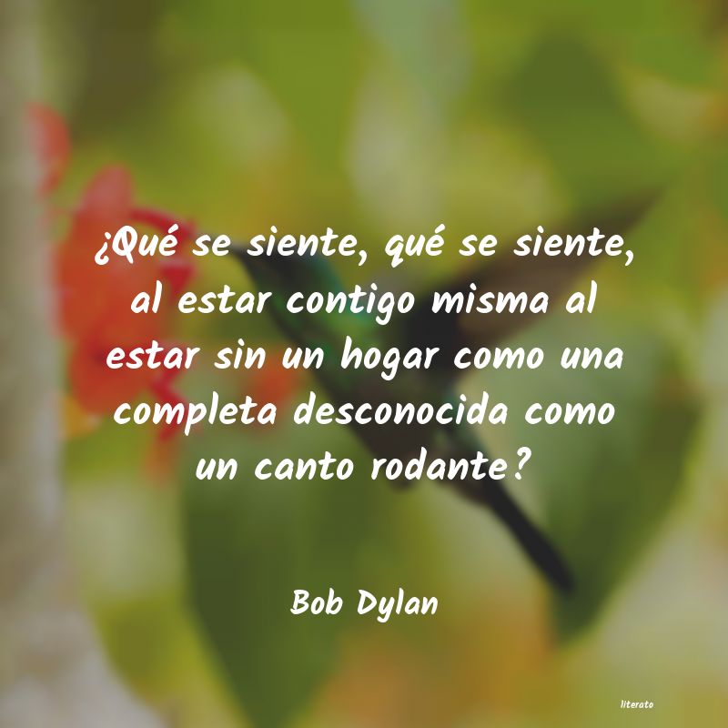 Frases de Bob Dylan