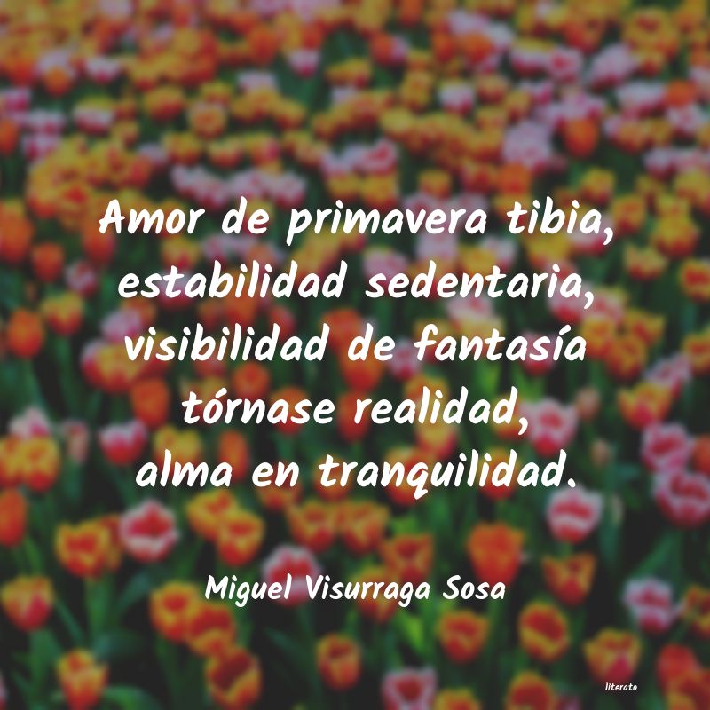 frases de Miguel Visurraga Sosa
