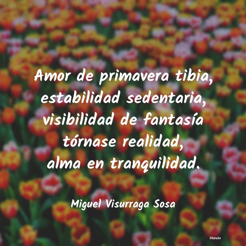 Frases de Miguel Visurraga Sosa