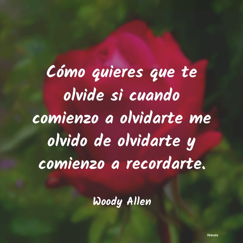 Frases de Woody Allen