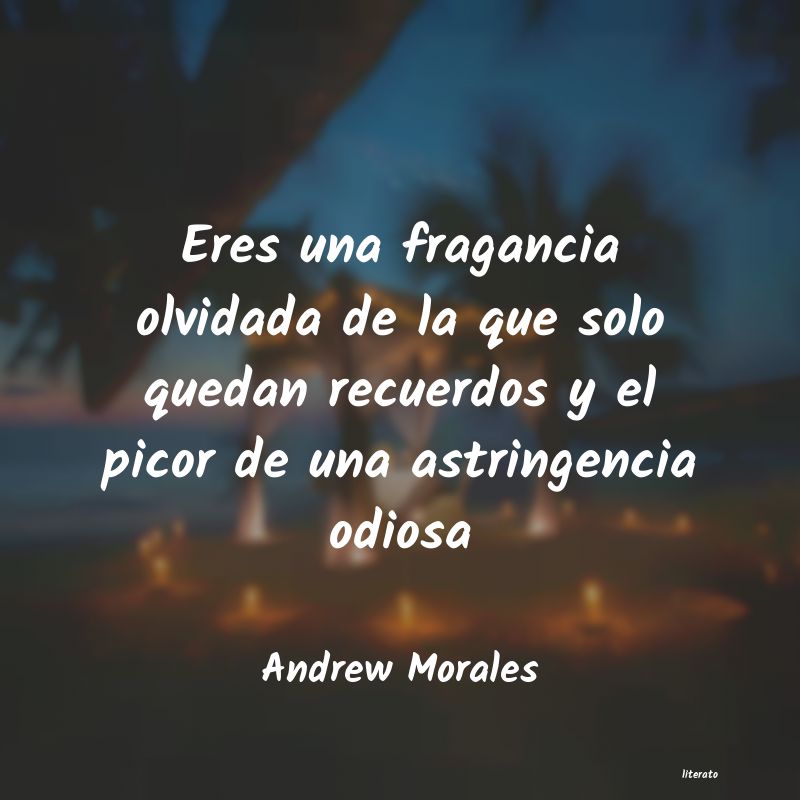 Frases de Andrew Morales