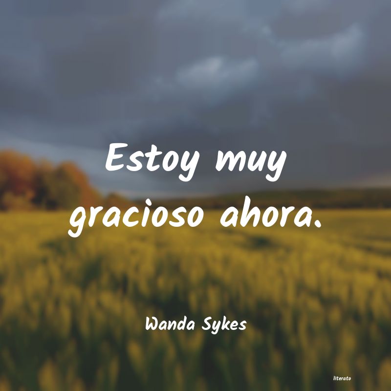 Frases de Wanda Sykes