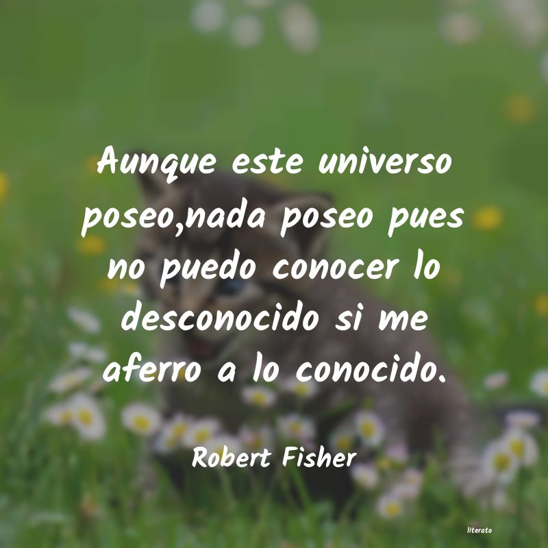 frases de Robert Fisher