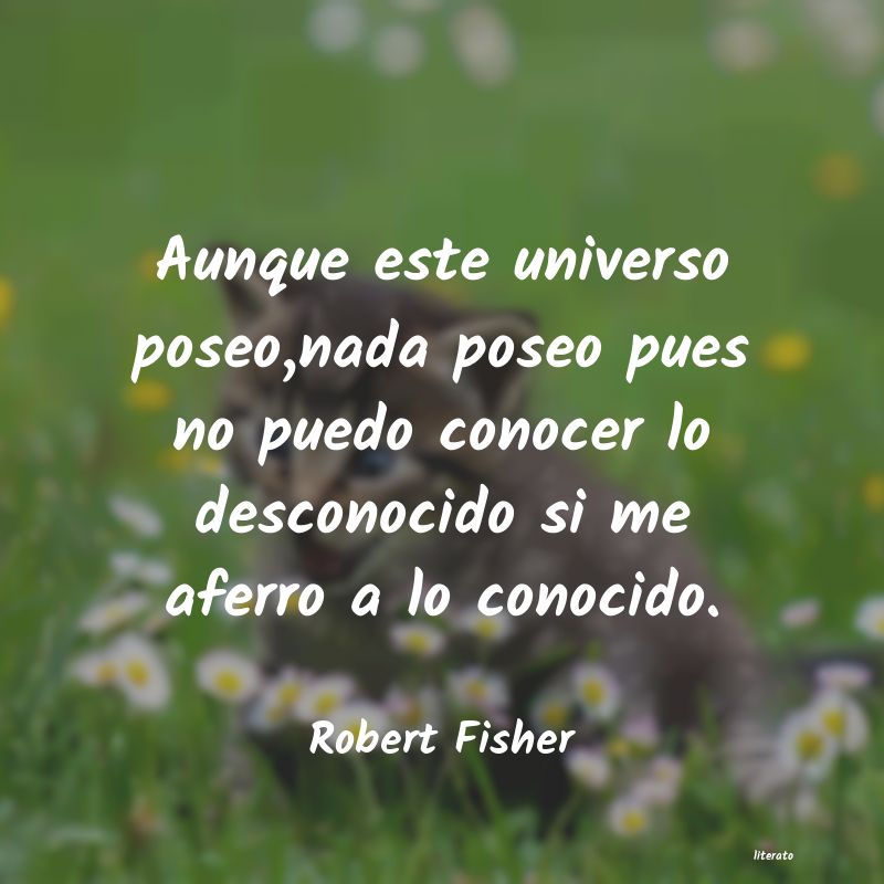 frases de robert fisher