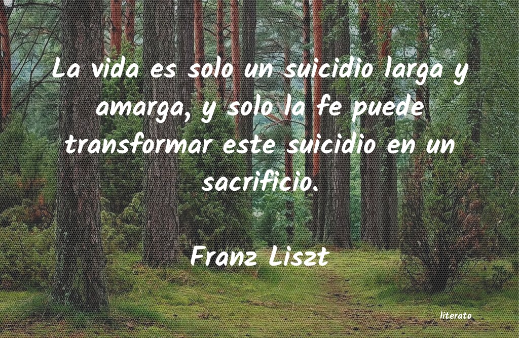 Frases de Franz Liszt