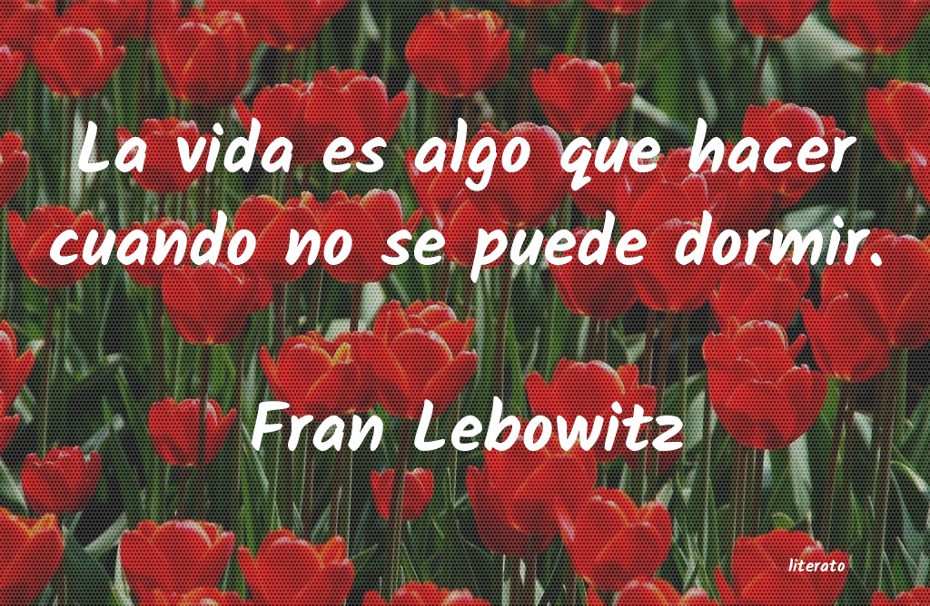 Frases de Fran Lebowitz