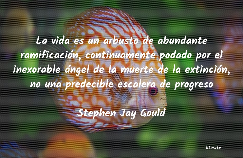 Frases de Stephen Jay Gould