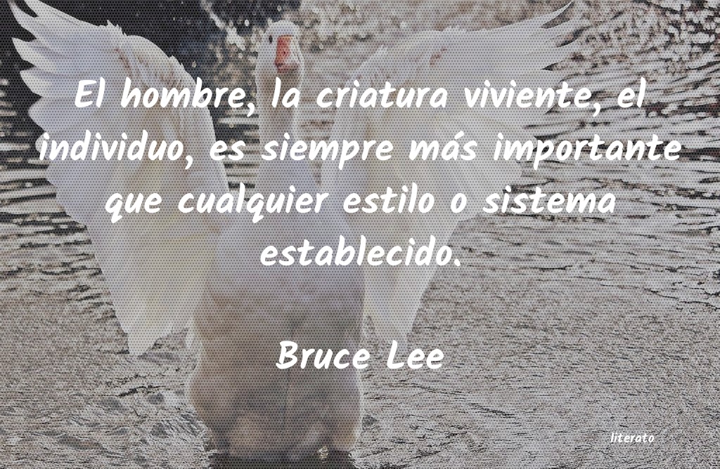 frases de Bruce Lee