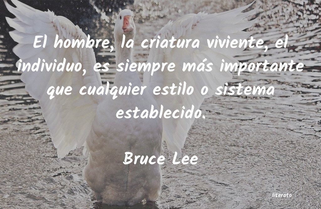 Frases de Bruce Lee