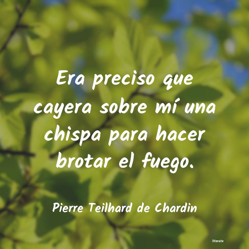 frases de Pierre Teilhard de Chardin