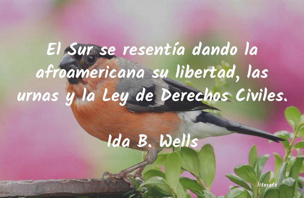 Frases de Ida B. Wells