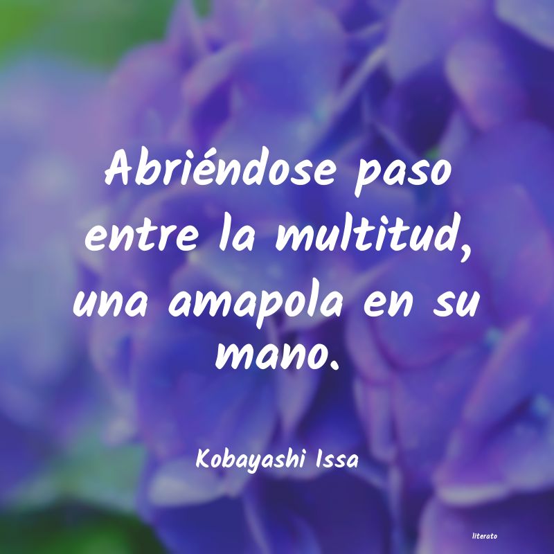 frases de Kobayashi Issa