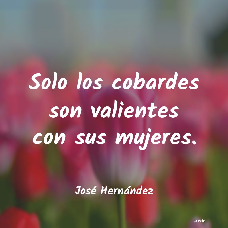 frases de JosÃ© HernÃ¡ndez