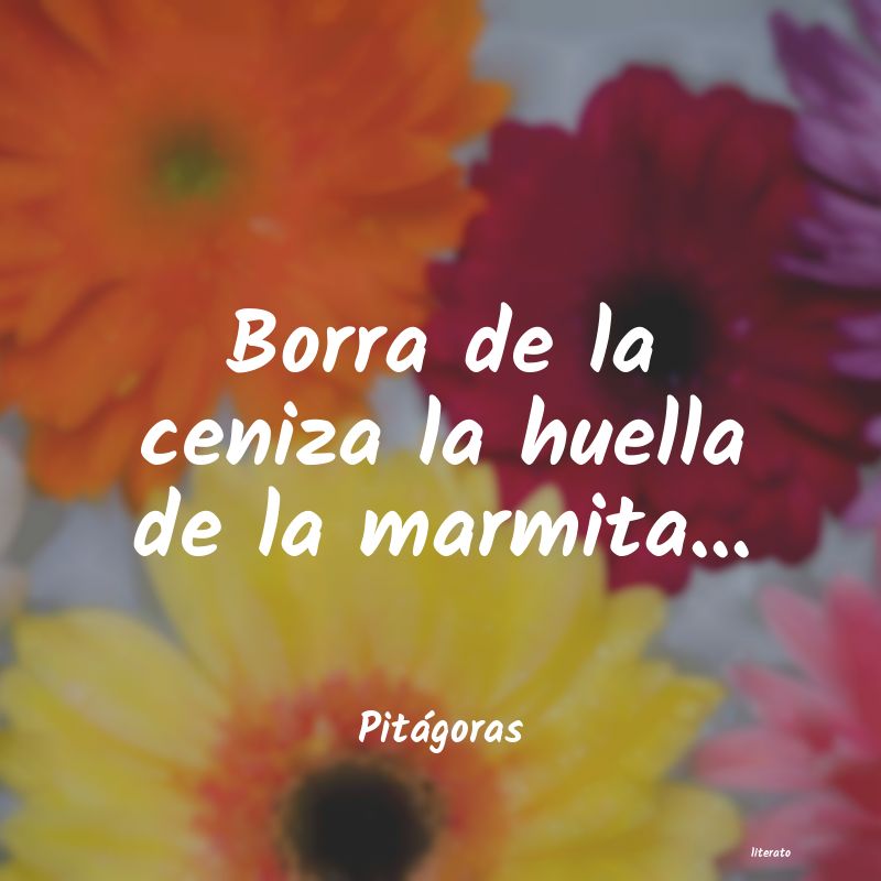 frases de Pitágoras
