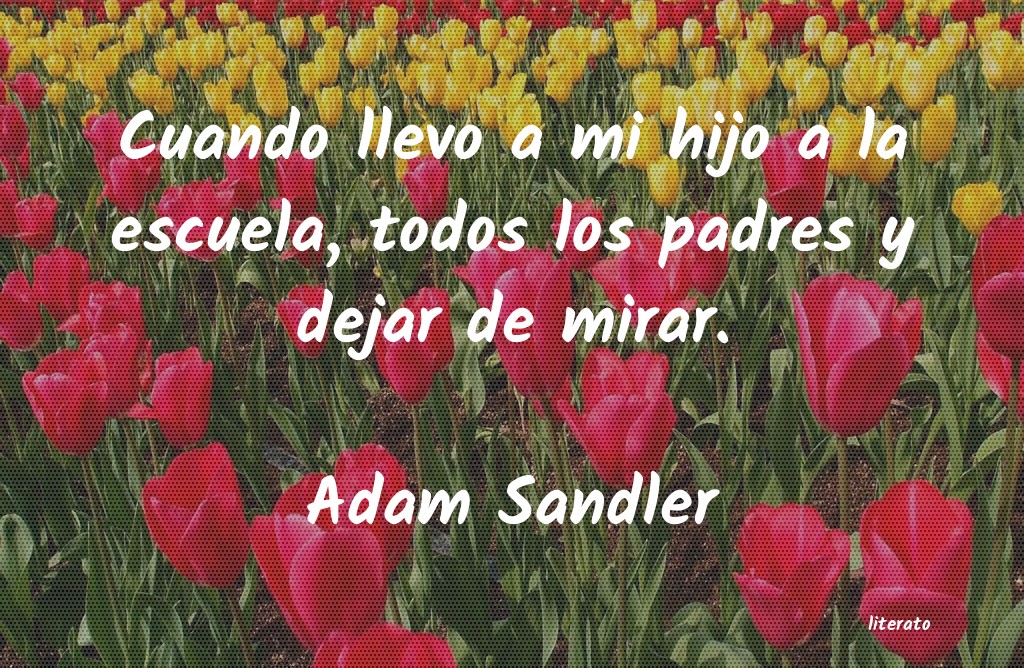 Frases de Adam Sandler