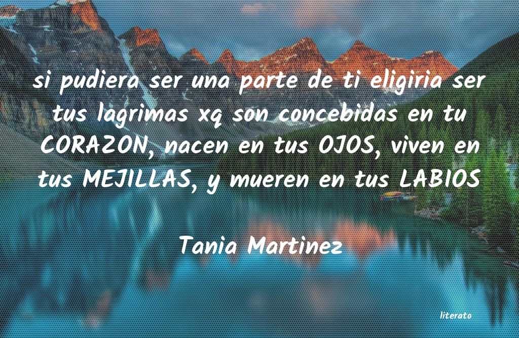 frases de Tania Martinez
