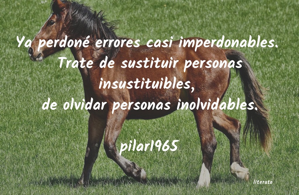 Frases de pilar1965