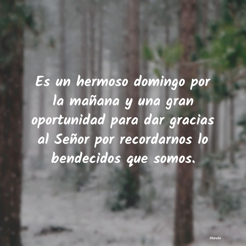 frases