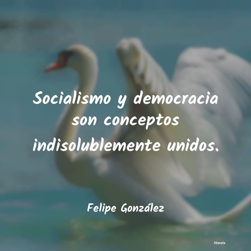 Frases de Felipe González