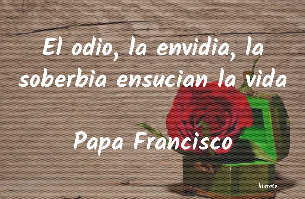 Frases de Papa Francisco