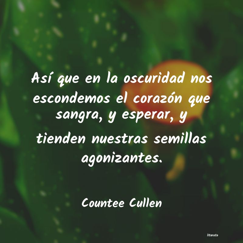 Frases de Countee Cullen