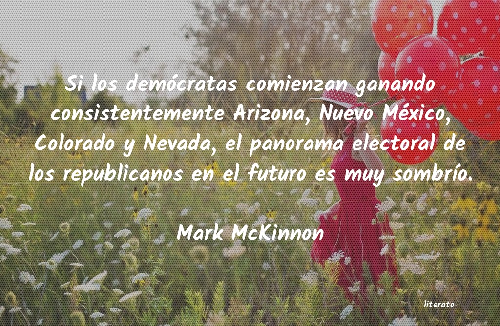 frases de Mark McKinnon