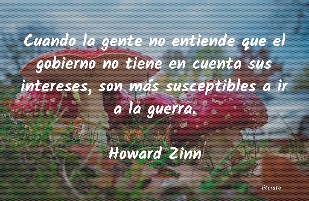 Frases de Howard Zinn
