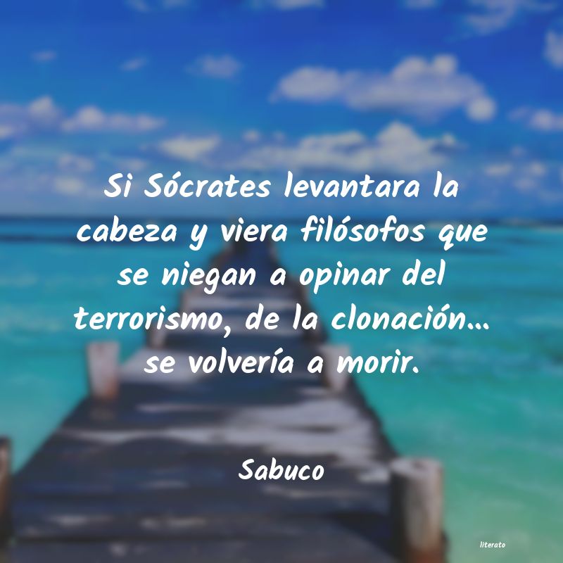 frases para volver a levantarse