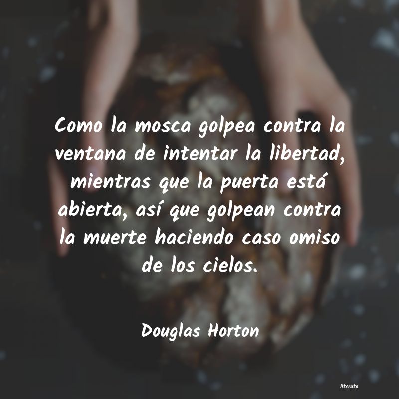 Frases de Douglas Horton