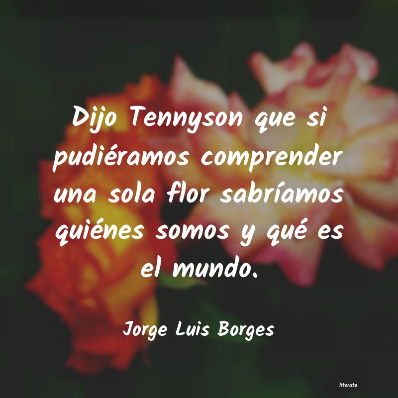 Frases de Jorge Luis Borges