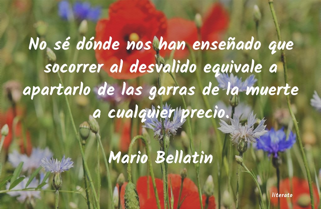 Frases de Mario Bellatin